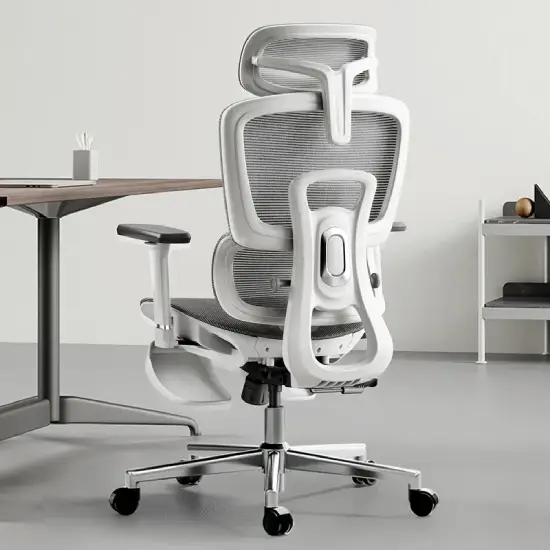 Hbada E2 Ergonomic Chair